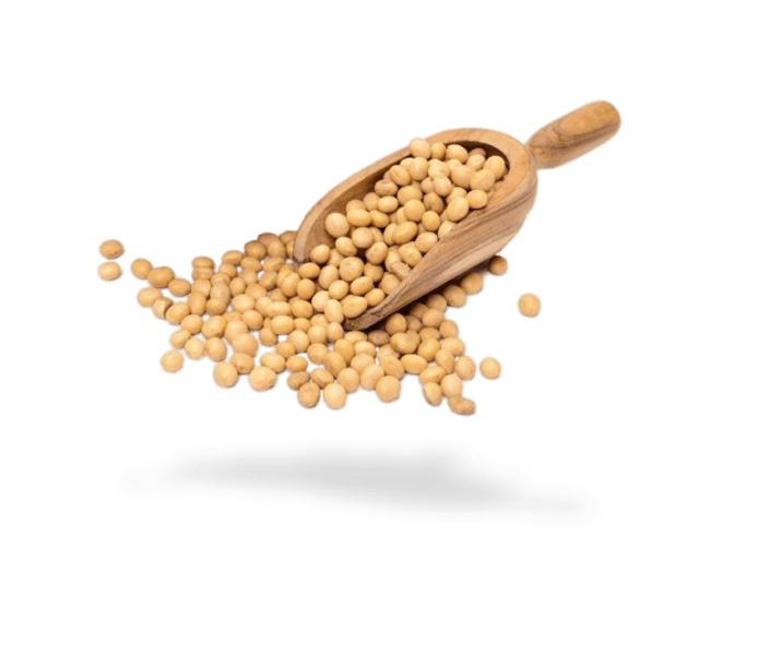 soft and agri 3-min soft and agri 3-min